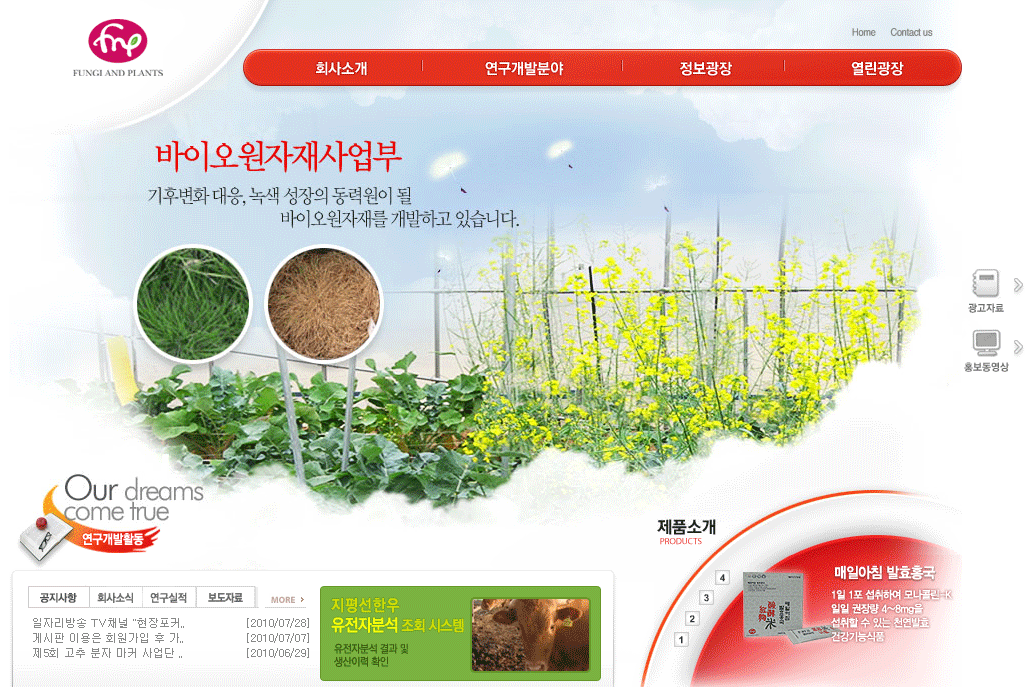 에프앤피.gif